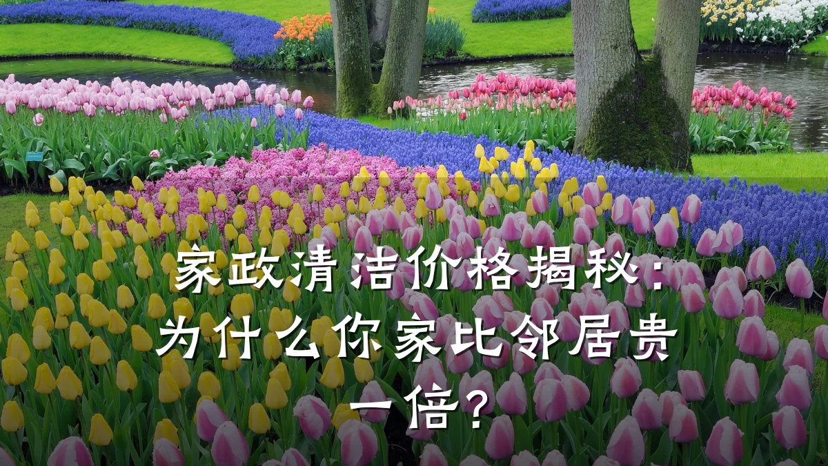 家政清洁价格揭秘：为什么你家比邻居贵一倍？