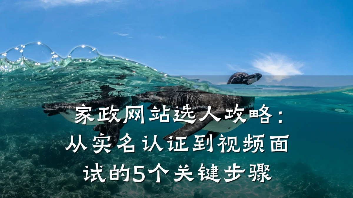 家政网站选人攻略:从实名认证到视频面试的5个关键步骤