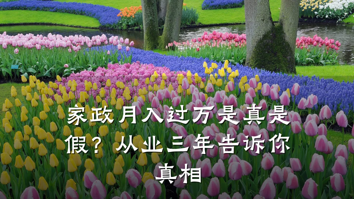 家政月入过万是真是假?从业三年告诉你真相
