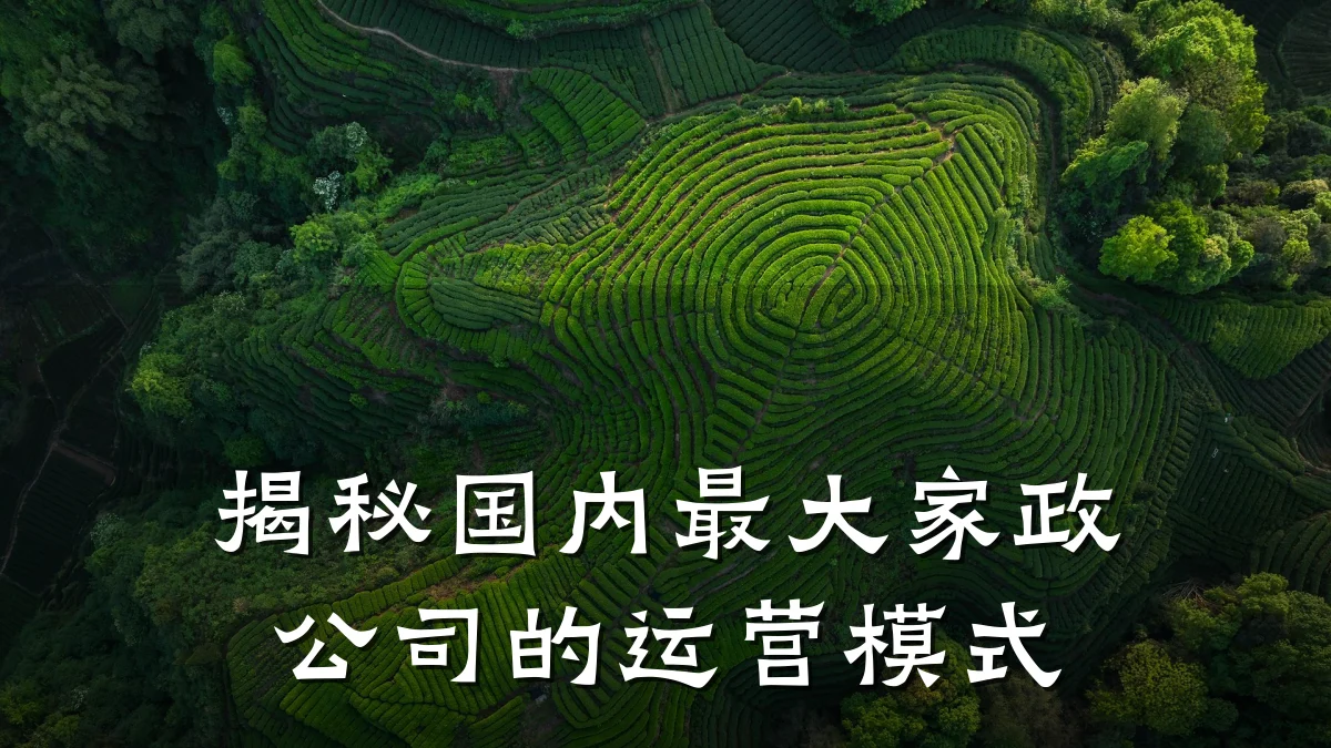 揭秘国内最大家政公司的运营模式