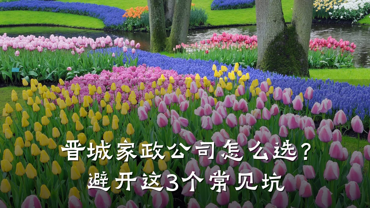 晋城家政公司怎么选?避开这3个常见坑