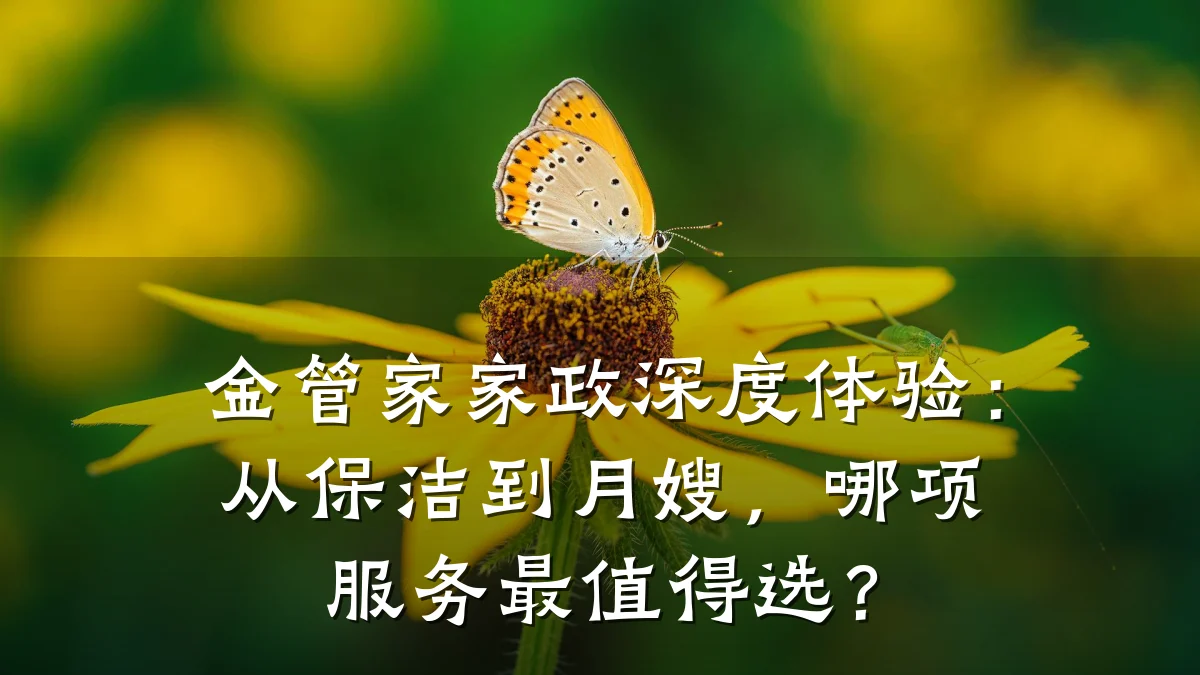 金管家家政深度体验:从保洁到月嫂,哪项服务最值得选?