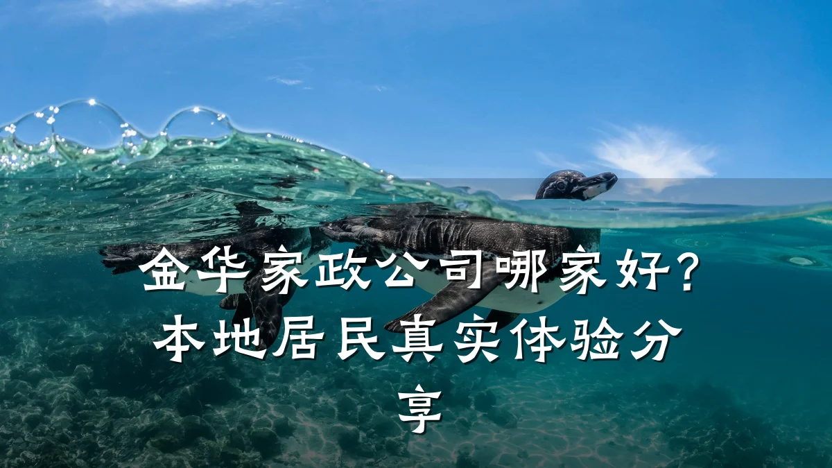 金华家政公司哪家好？本地居民真实体验分享