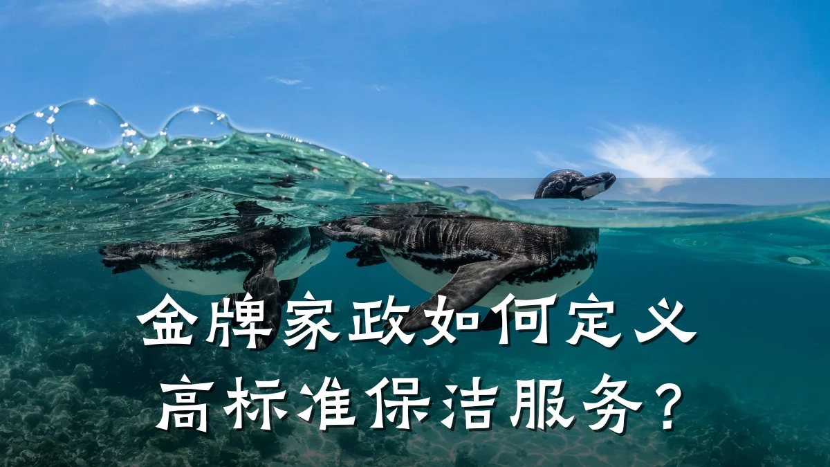 金牌家政如何定义高标准保洁服务?