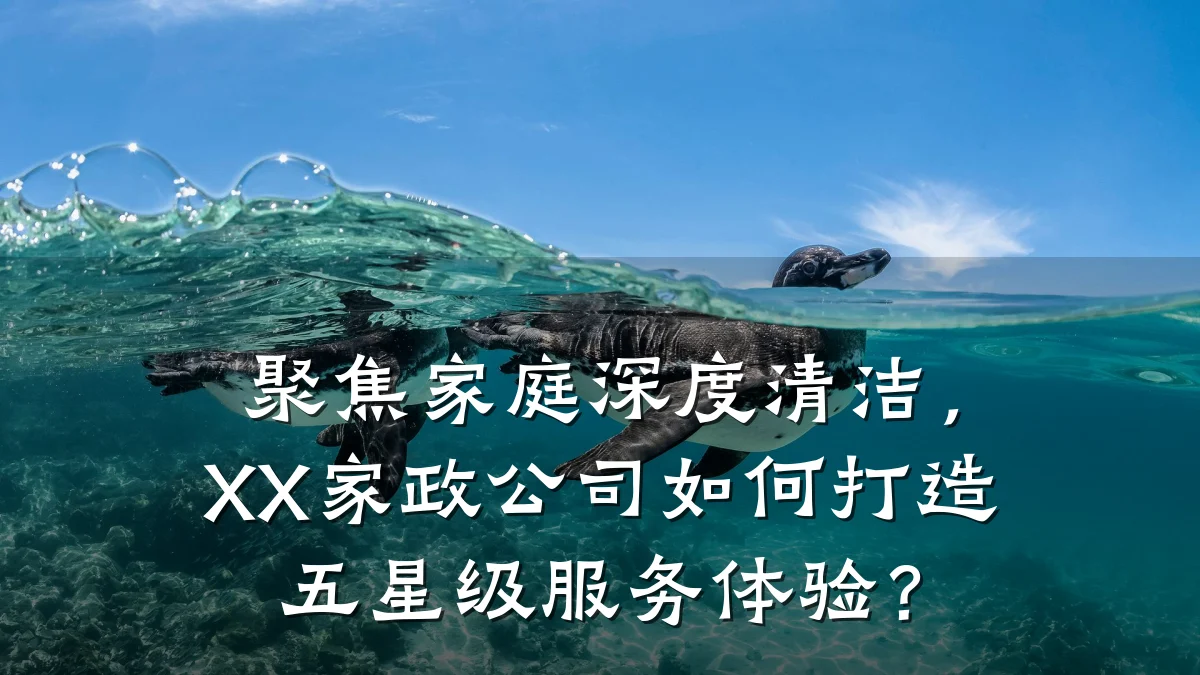 聚焦家庭深度清洁，XX家政公司如何打造五星级服务体验？