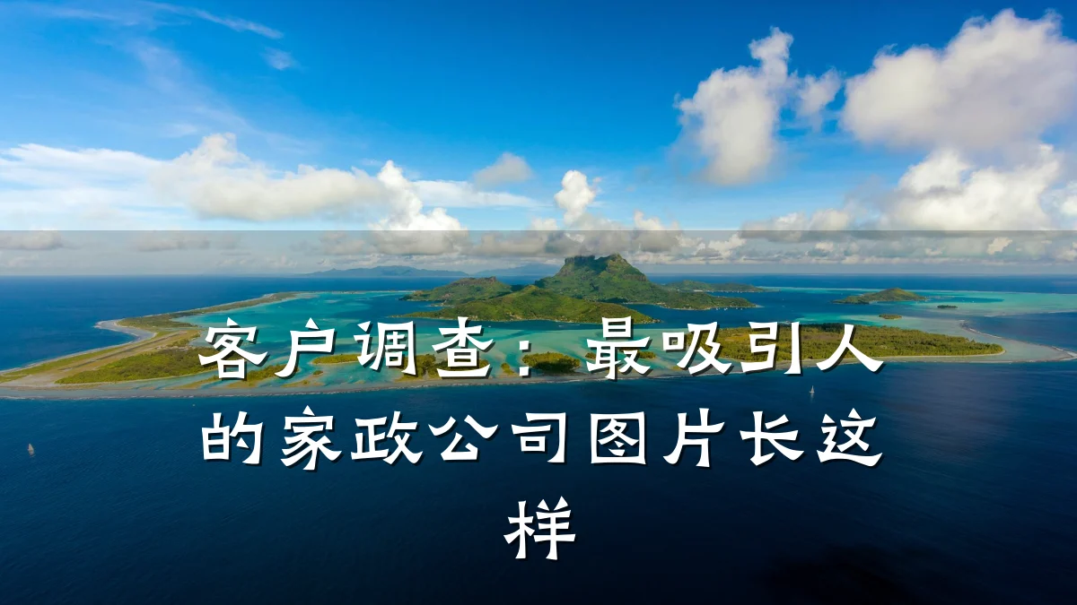 客户调查:最吸引人的家政公司图片长这样