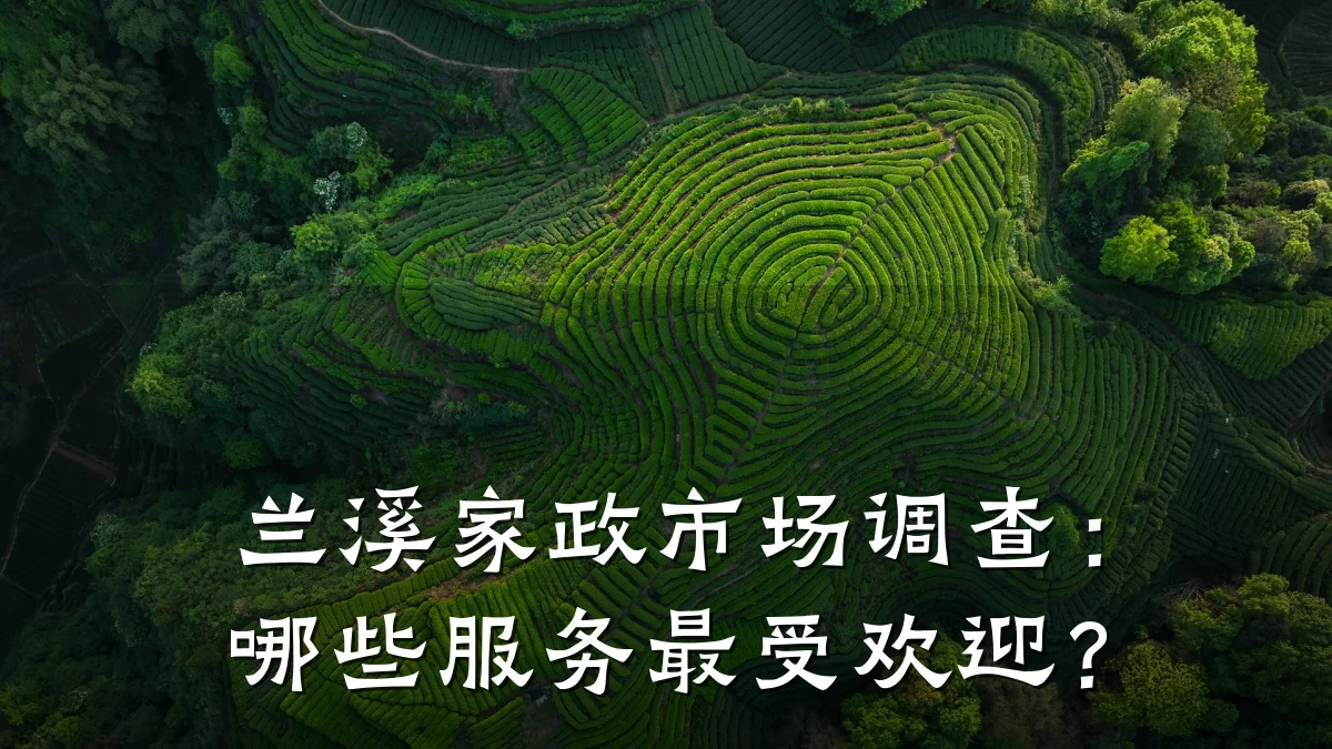 兰溪家政市场调查：哪些服务最受欢迎？