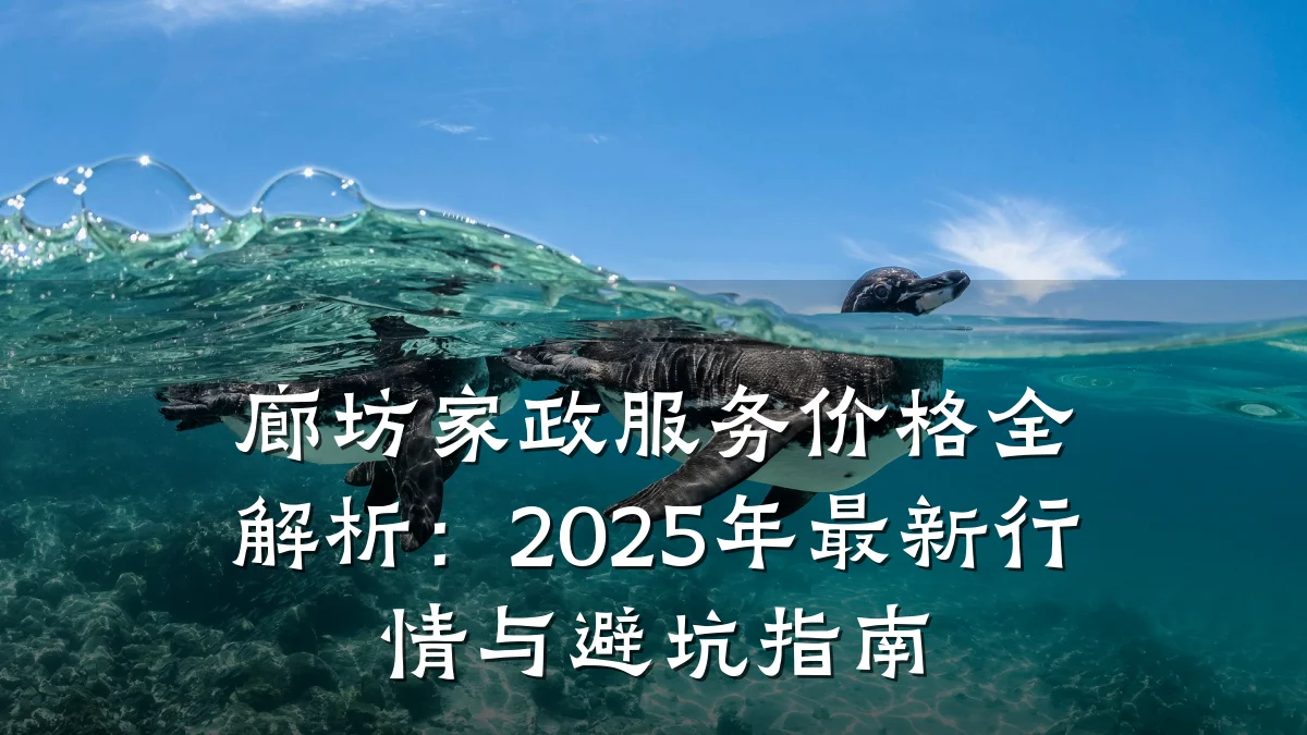 廊坊家政服务价格全解析：2025年最新行情与避坑指南