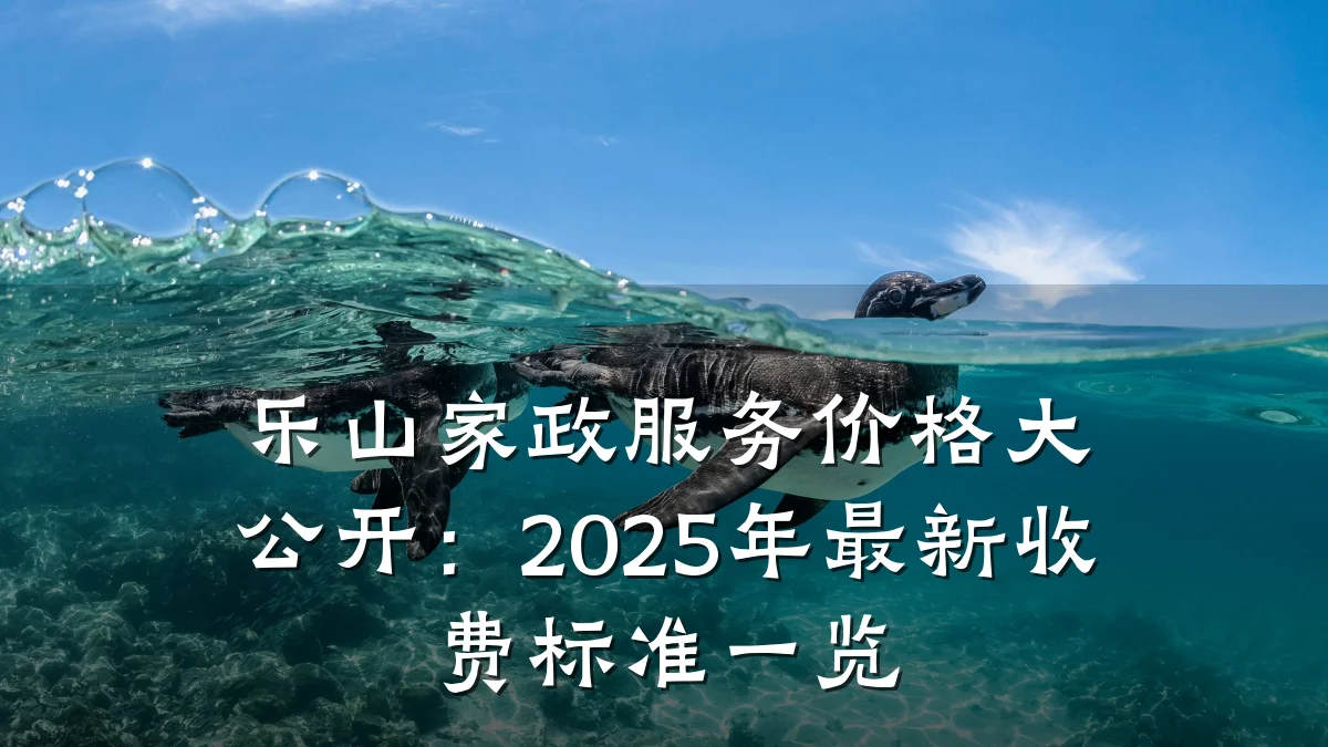 乐山家政服务价格大公开:2025年最新收费标准一览