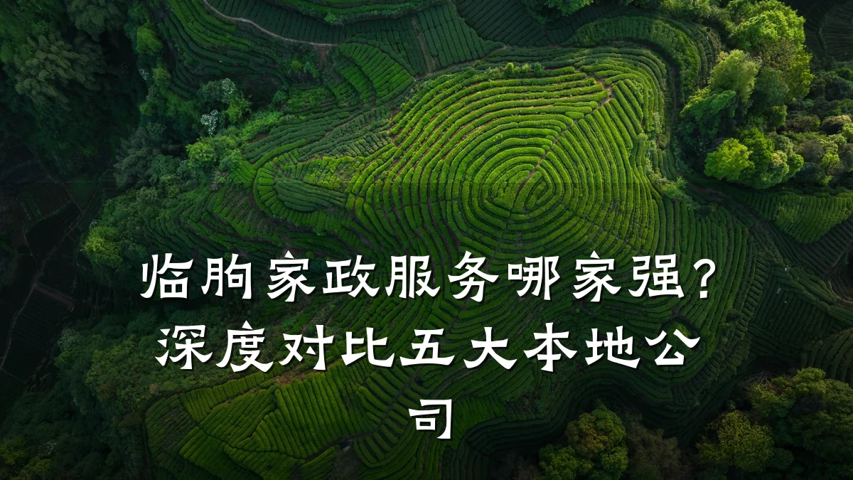 临朐家政服务哪家强?深度对比五大本地公司