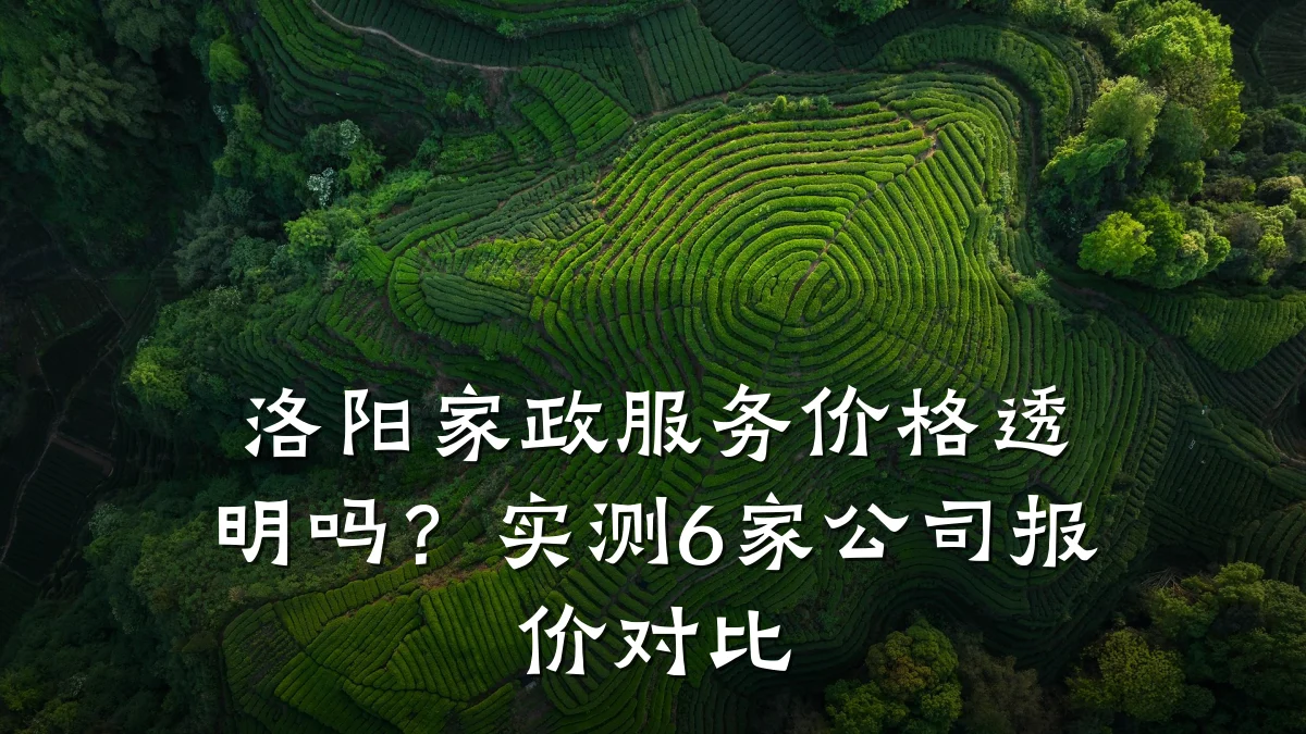 洛阳家政服务价格透明吗?实测6家公司报价对比