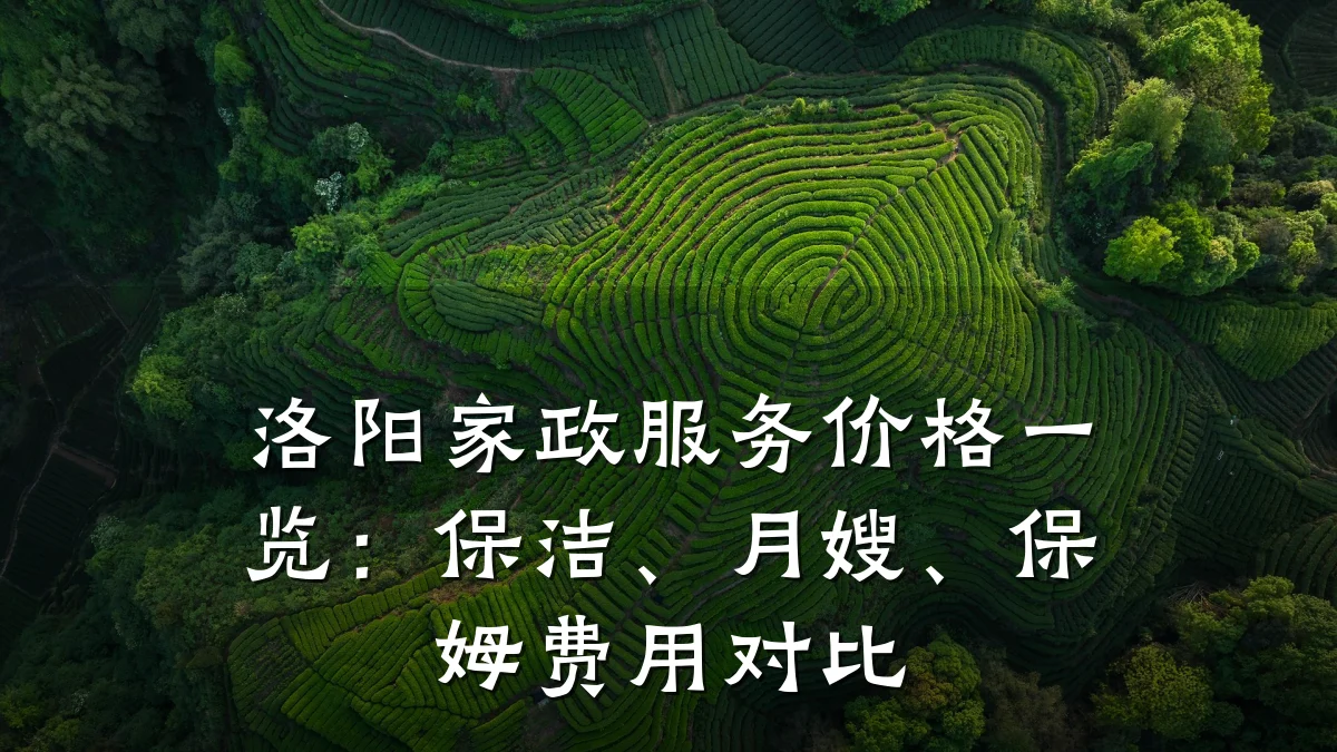 洛阳家政服务价格一览：保洁、月嫂、保姆费用对比