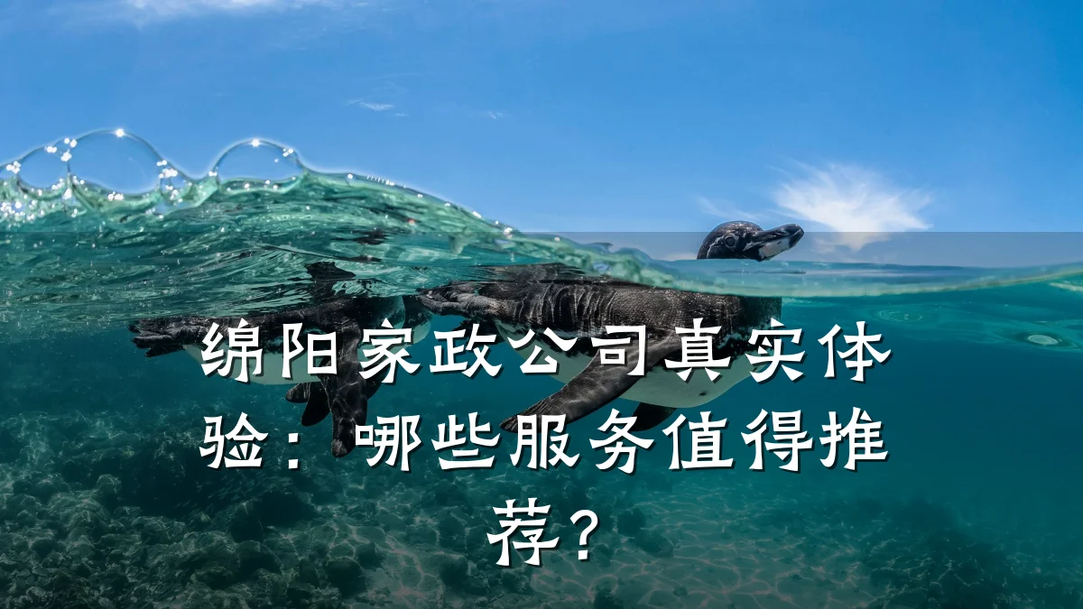 绵阳家政公司真实体验:哪些服务值得推荐?