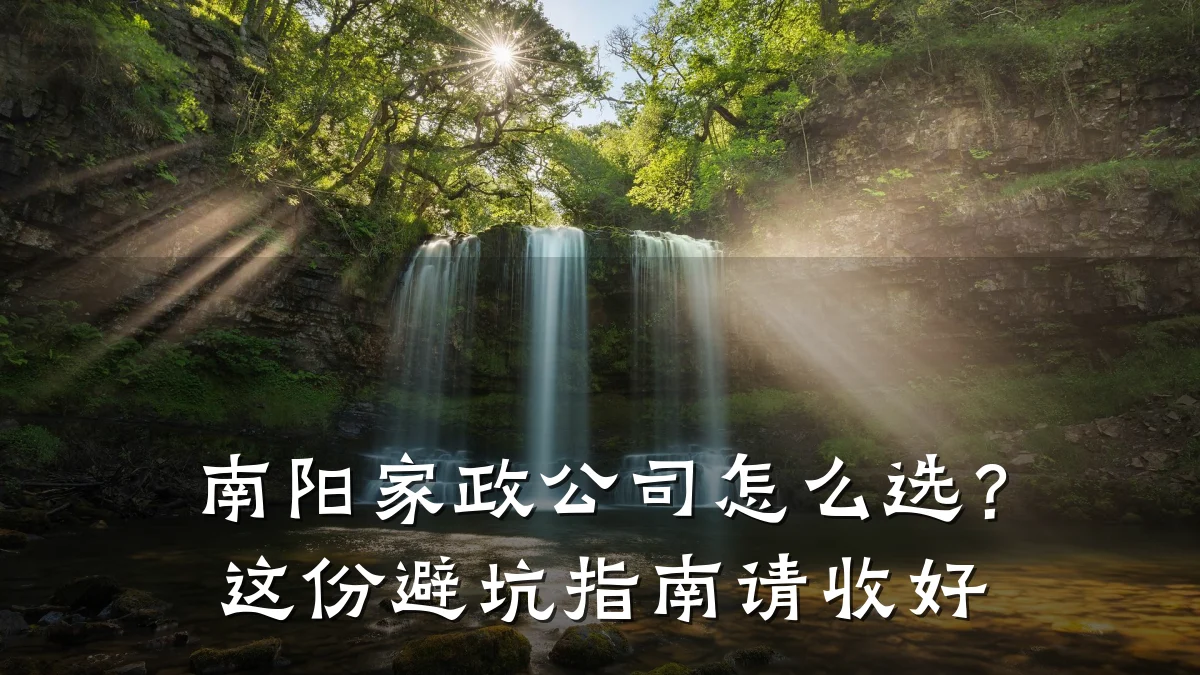 南阳家政公司怎么选?这份避坑指南请收好