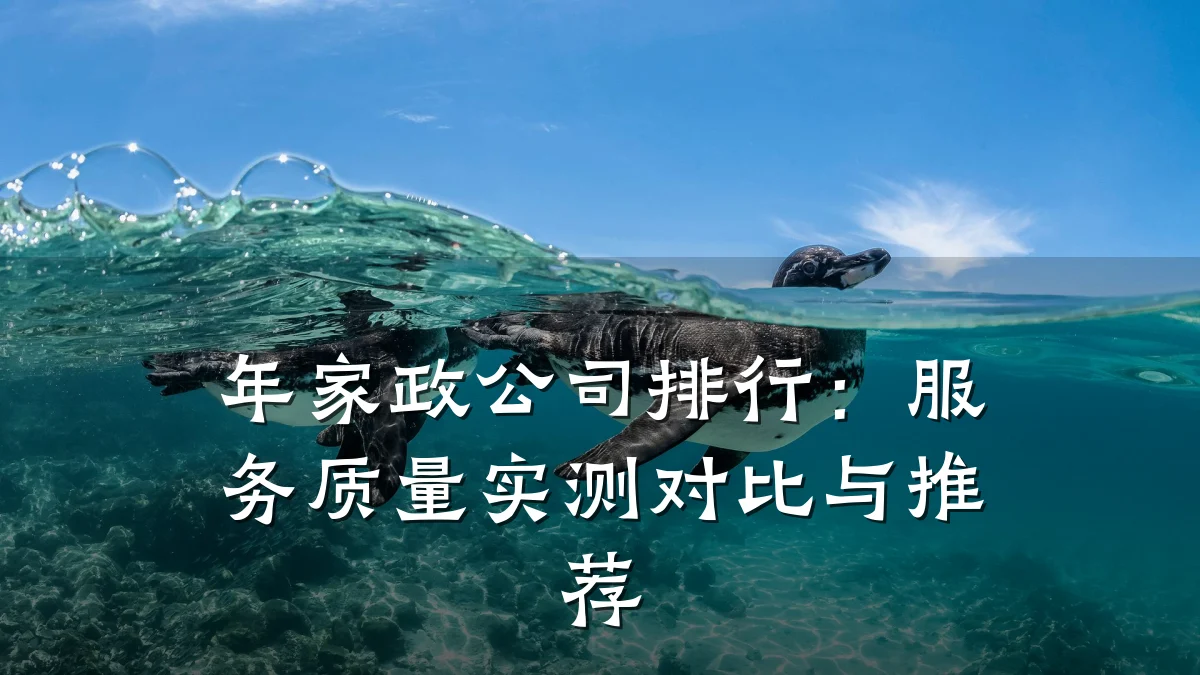 年家政公司排行:服务质量实测对比与推荐