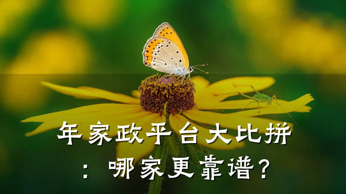 年家政平台大比拼:哪家更靠谱?