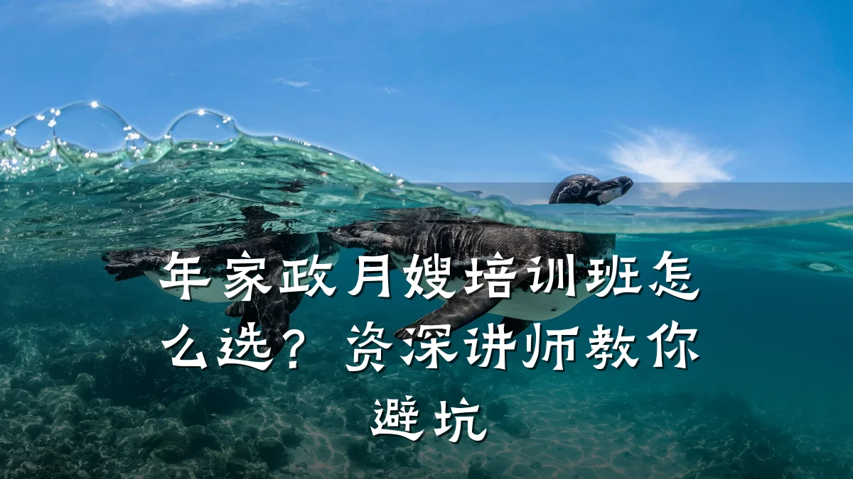 年家政月嫂培训班怎么选?资深讲师教你避坑