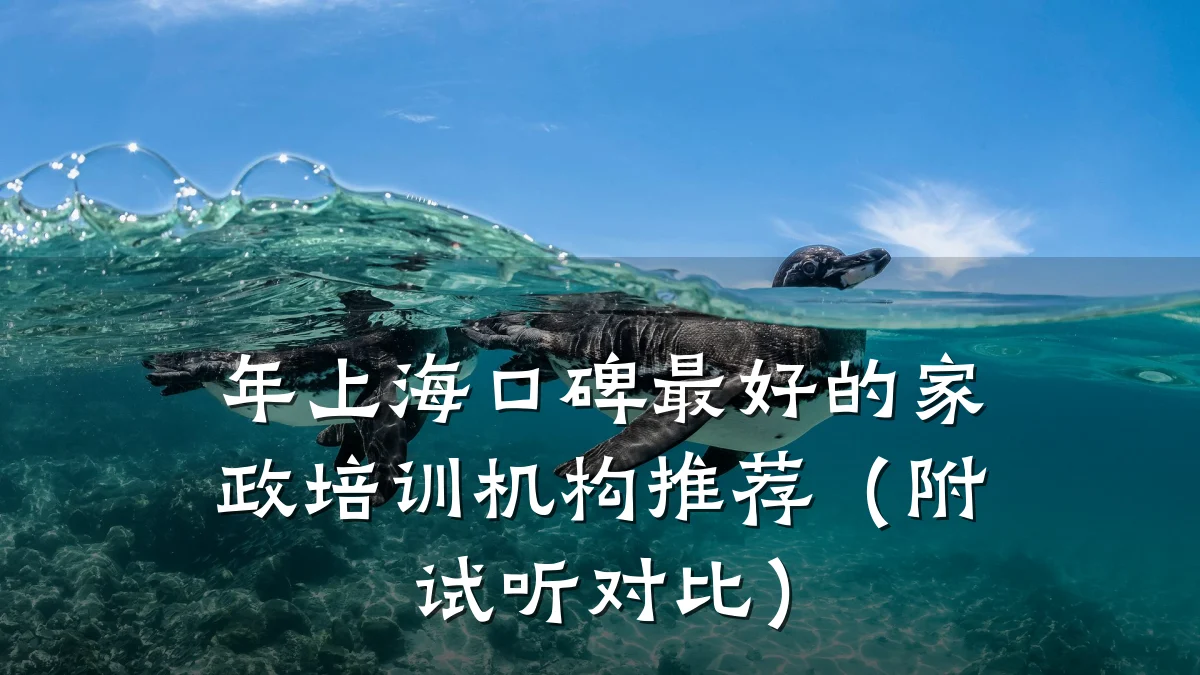 年上海口碑最好的家政培训机构推荐（附试听对比）