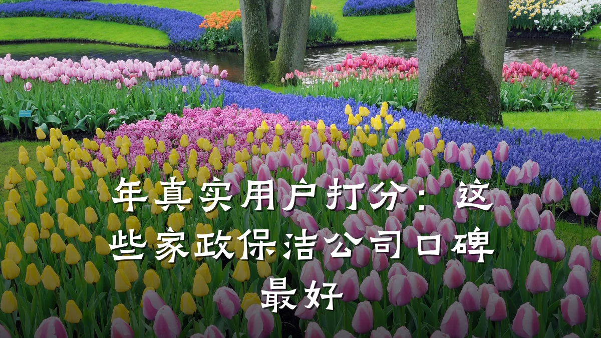 年真实用户打分：这些家政保洁公司口碑最好