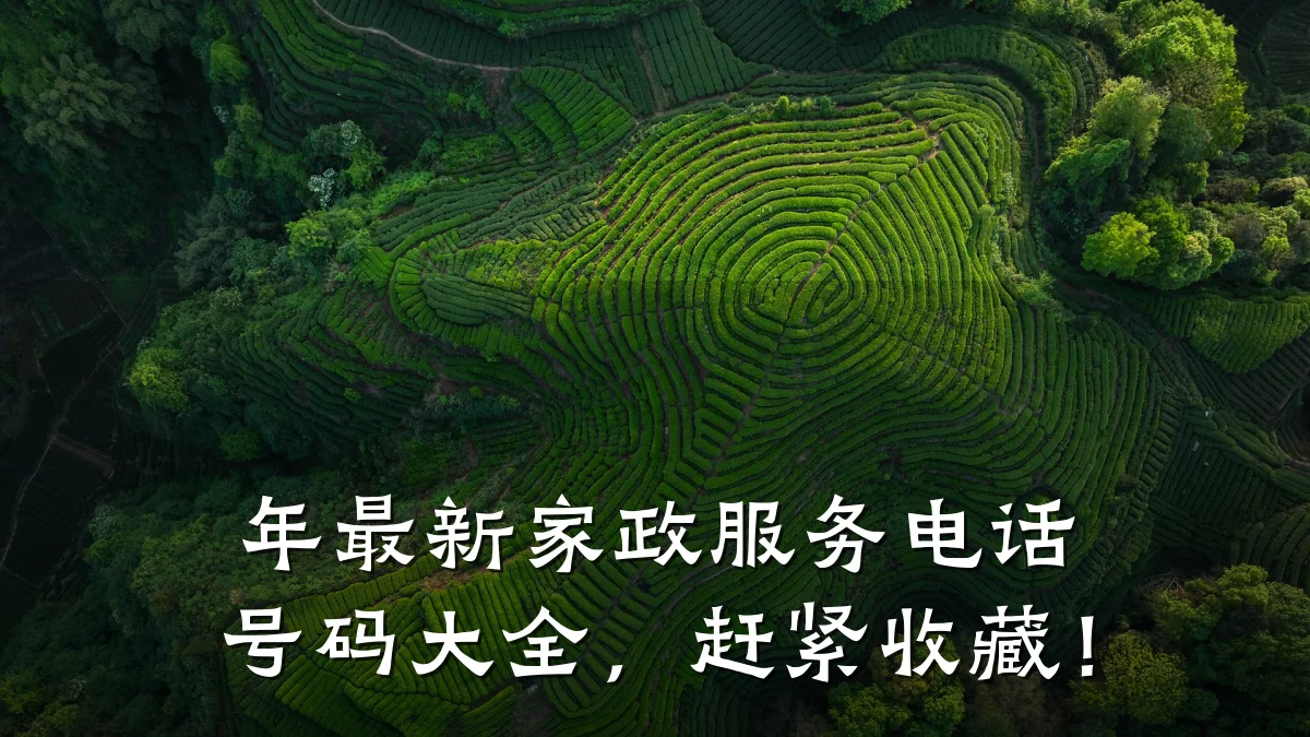 年最新家政服务电话号码大全,赶紧收藏!