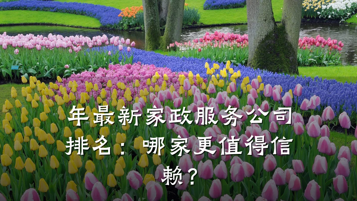 年最新家政服务公司排名:哪家更值得信赖?