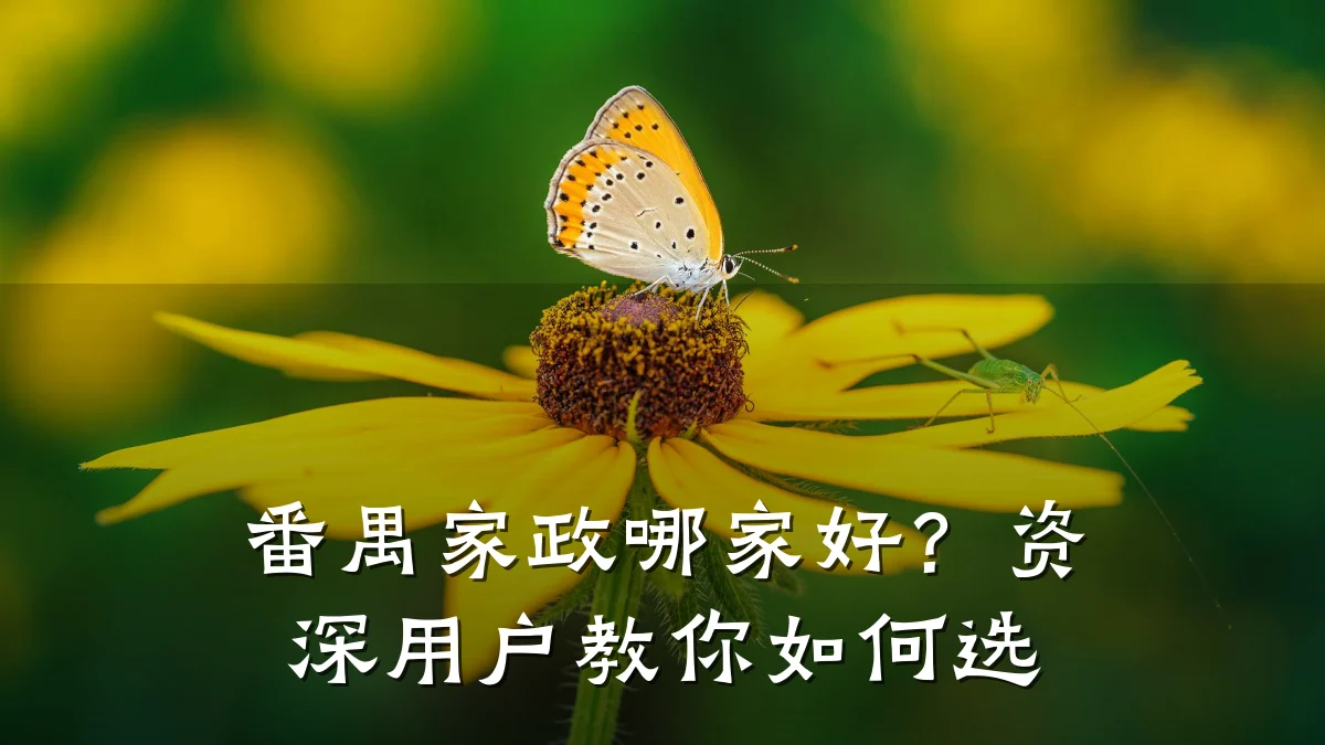 番禺家政哪家好?资深用户教你如何选