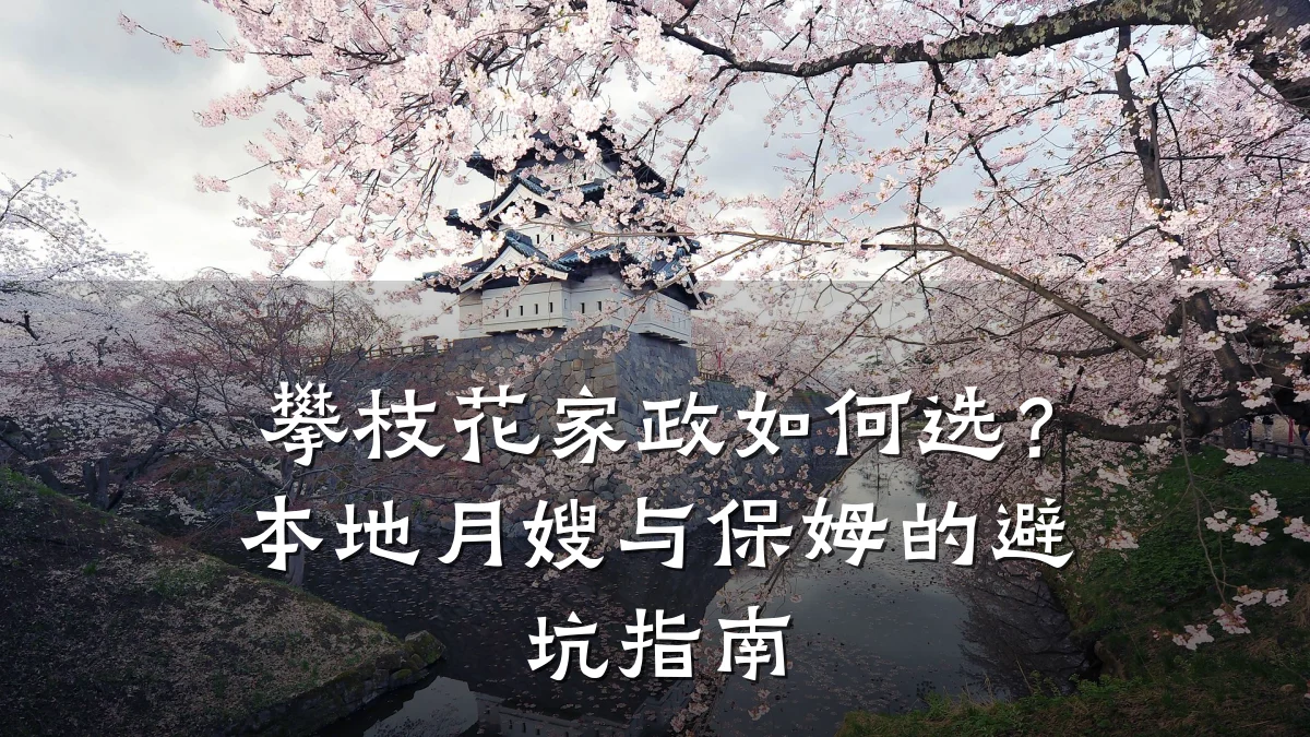 攀枝花家政如何选?本地月嫂与保姆的避坑指南