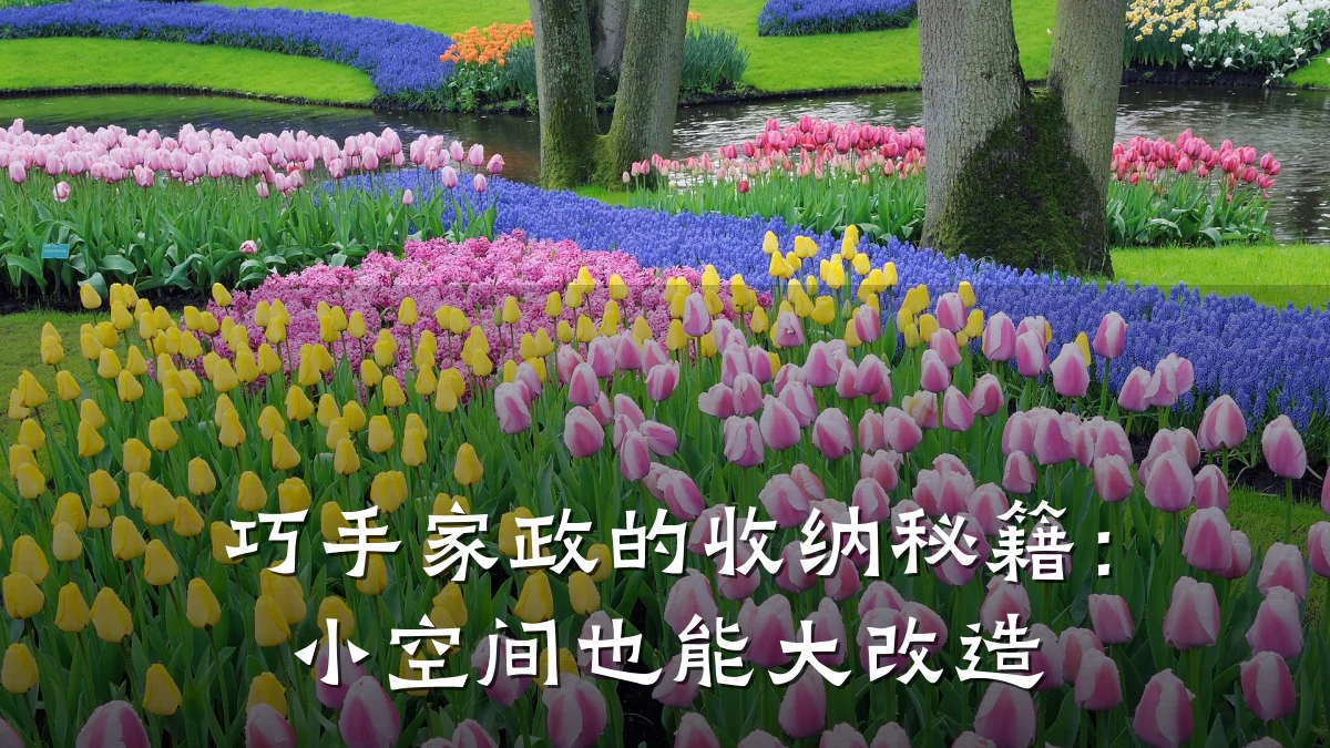 巧手家政的收纳秘籍:小空间也能大改造