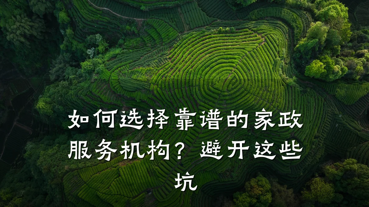 如何选择靠谱的家政服务机构？避开这些坑