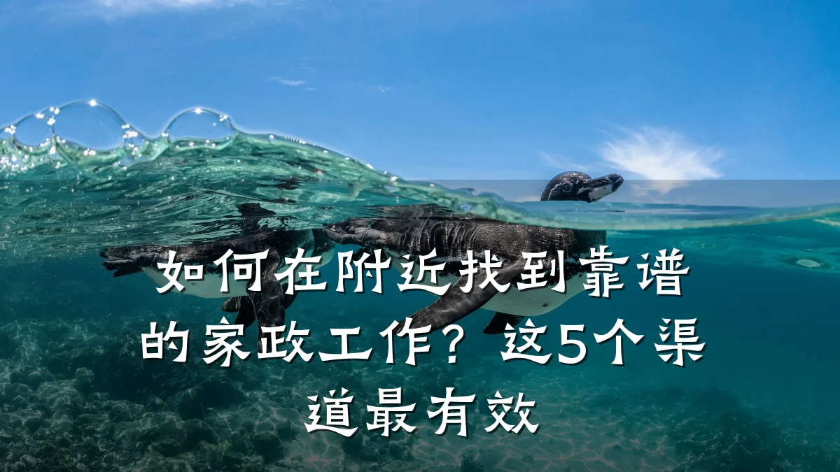 如何在附近找到靠谱的家政工作?这5个渠道最有效
