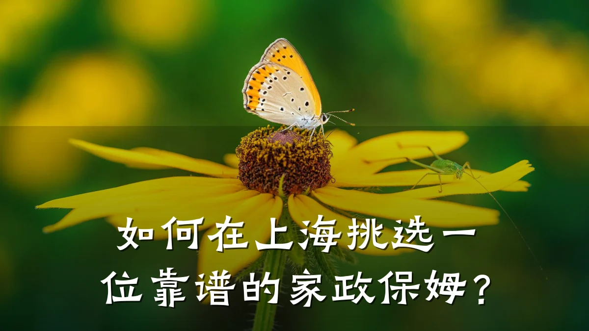 如何在上海挑选一位靠谱的家政保姆?