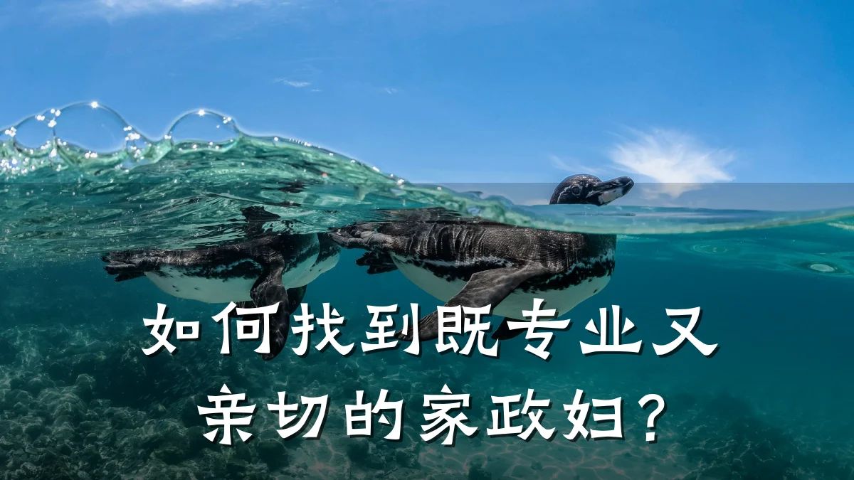 如何找到既专业又亲切的家政妇?