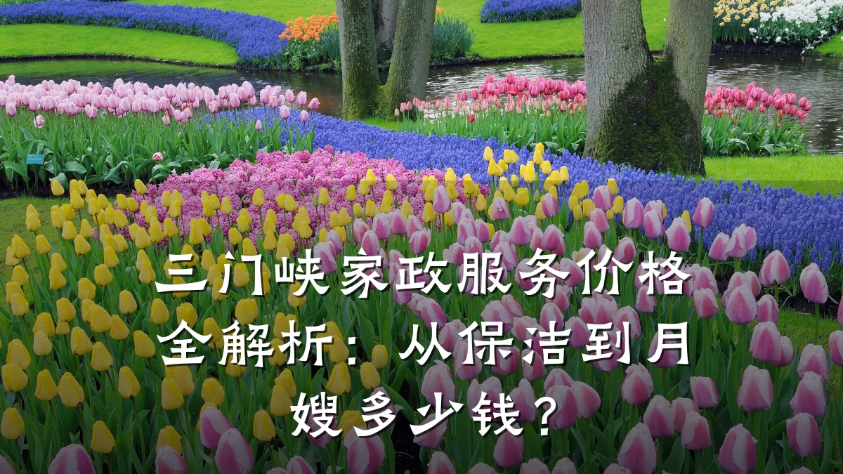 三门峡家政服务价格全解析:从保洁到月嫂多少钱?