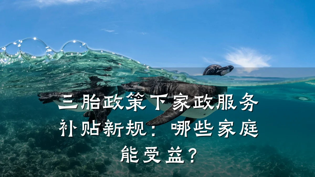 三胎政策下家政服务补贴新规：哪些家庭能受益？
