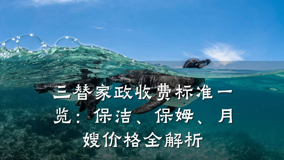 三替家政收费标准一览:保洁、保姆、月嫂价格全解析