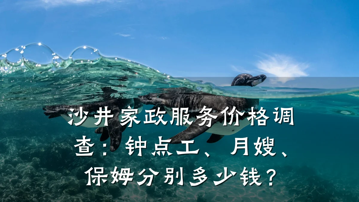 沙井家政服务价格调查:钟点工、月嫂、保姆分别多少钱?