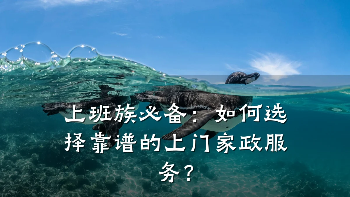 上班族必备：如何选择靠谱的上门家政服务？