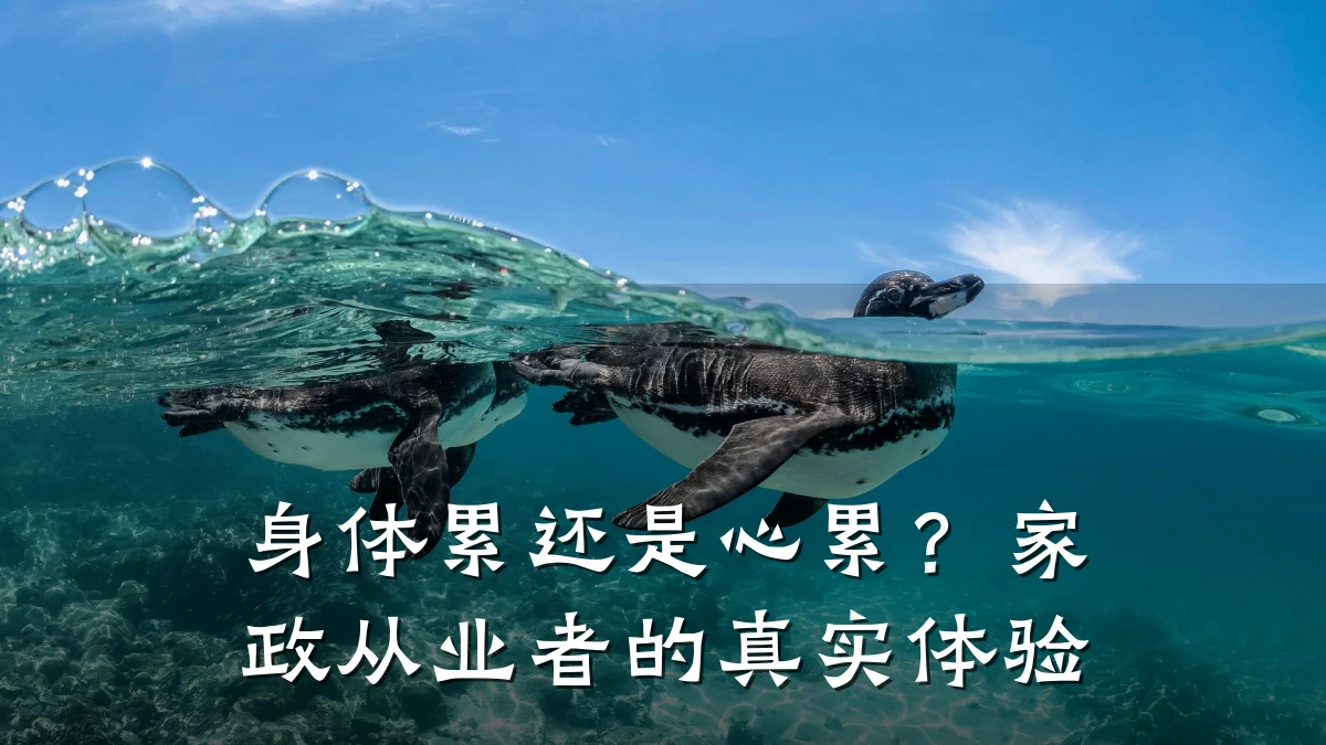 身体累还是心累?家政从业者的真实体验