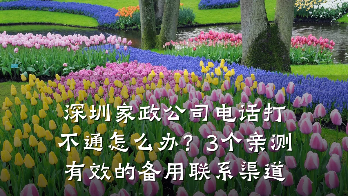 深圳家政公司电话打不通怎么办？3个亲测有效的备用联系渠道