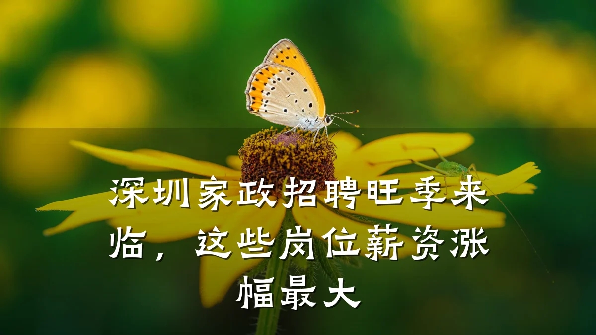 深圳家政招聘旺季来临,这些岗位薪资涨幅最大