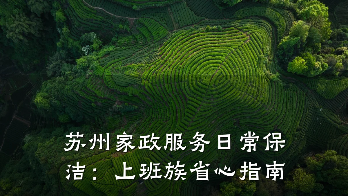 苏州家政服务日常保洁:上班族省心指南