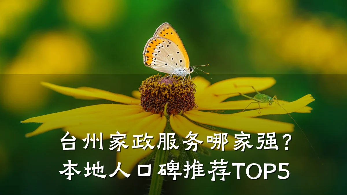 台州家政服务哪家强?本地人口碑推荐TOP5