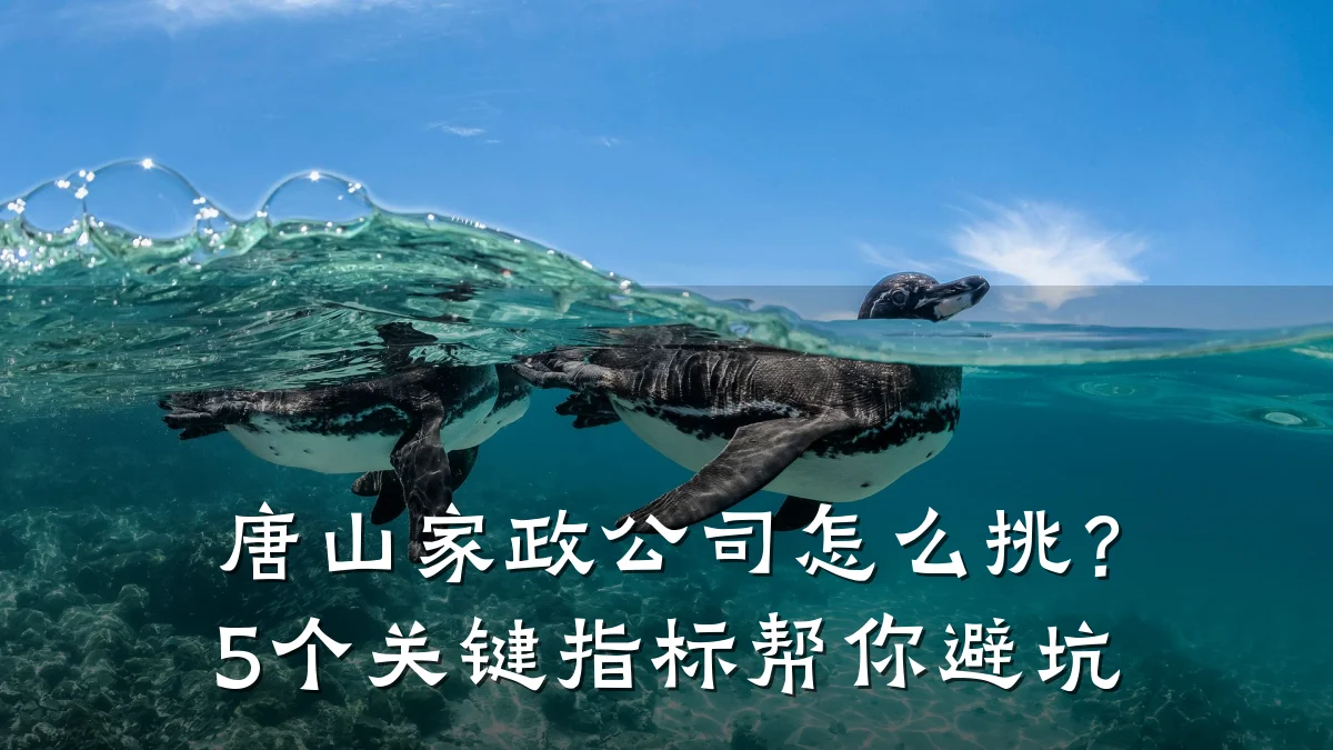 唐山家政公司怎么挑?5个关键指标帮你避坑
