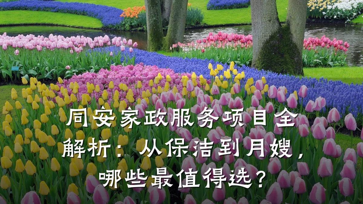 同安家政服务项目全解析：从保洁到月嫂，哪些最值得选？