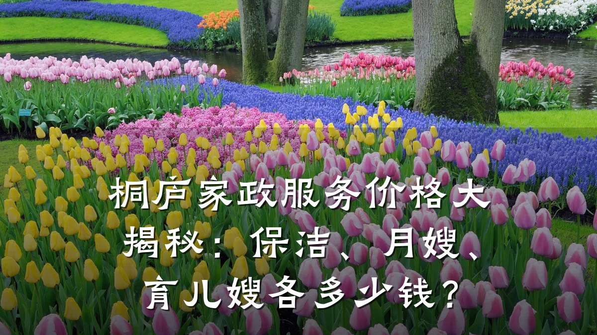 桐庐家政服务价格大揭秘:保洁、月嫂、育儿嫂各多少钱?