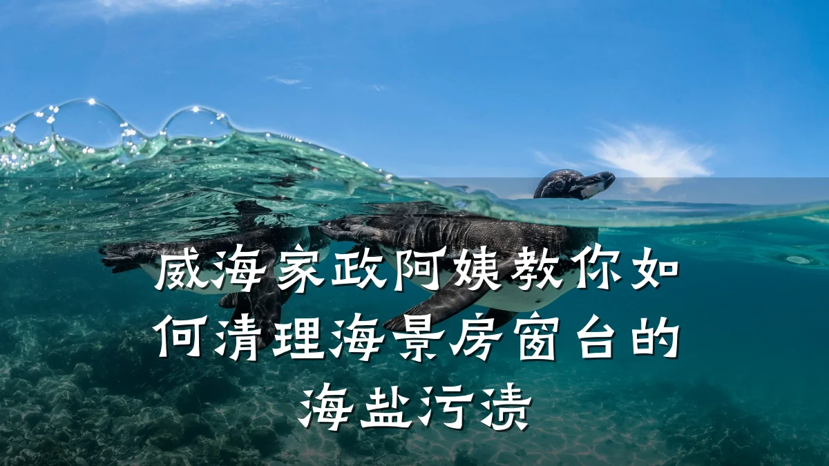 威海家政阿姨教你如何清理海景房窗台的海盐污渍