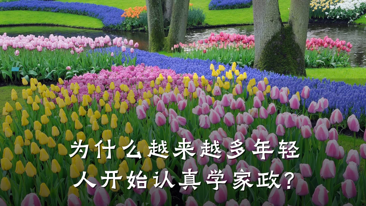 为什么越来越多年轻人开始认真学家政?