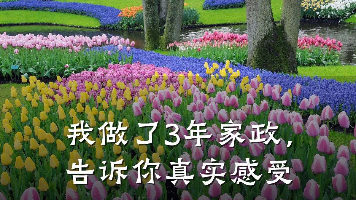我做了3年家政，告诉你真实感受