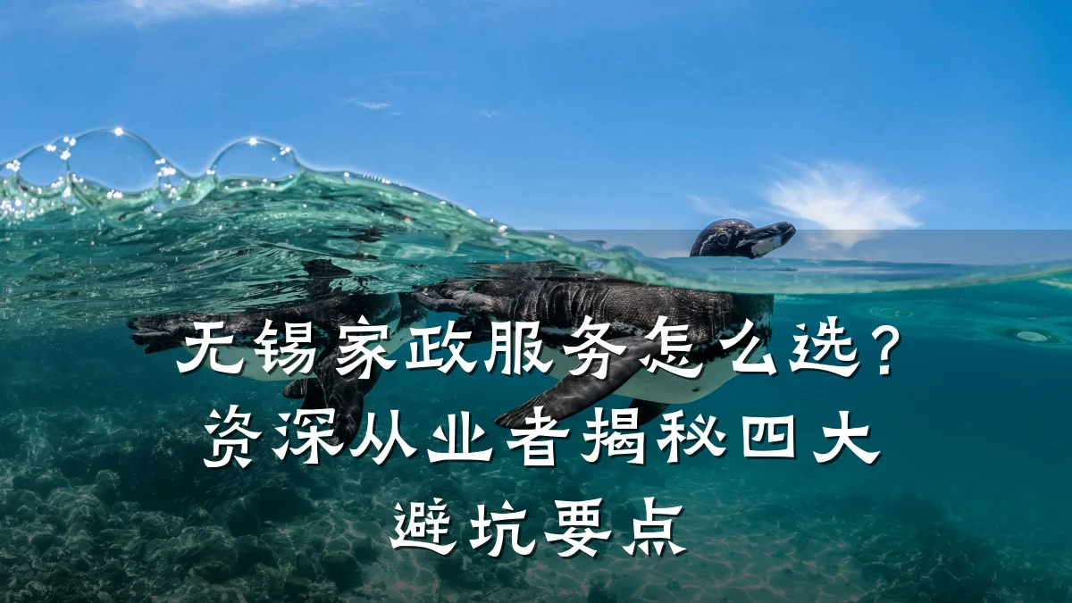 无锡家政服务怎么选?资深从业者揭秘四大避坑要点