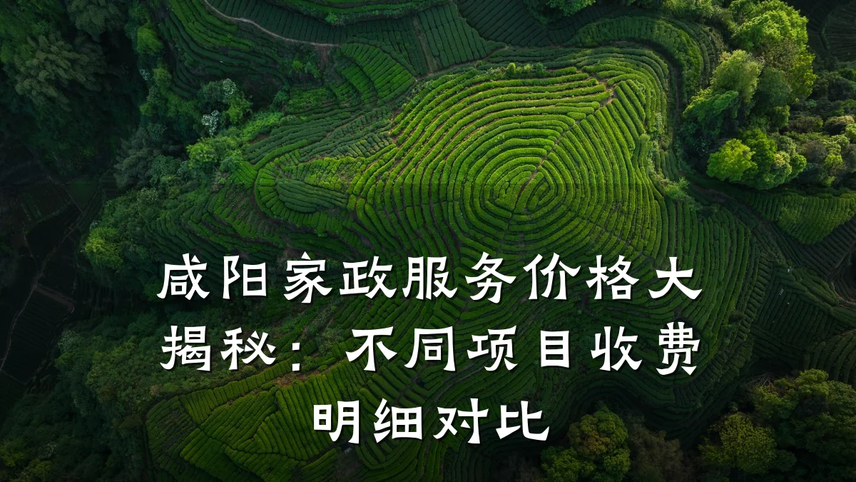 咸阳家政服务价格大揭秘:不同项目收费明细对比